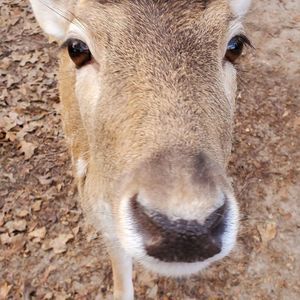 Meet your Posher, Sue